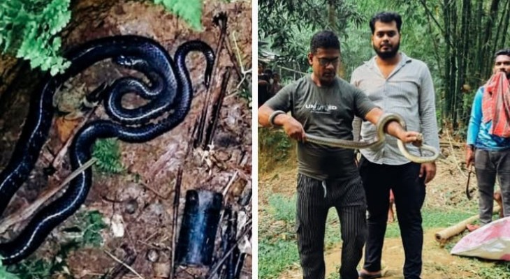 ৯ ফুট গভীর পরিত্যক্ত কূপ থেকে দাঁড়াশ সাপ উদ্ধার